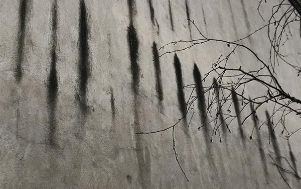 Origine et traitement des salissures sur les façades